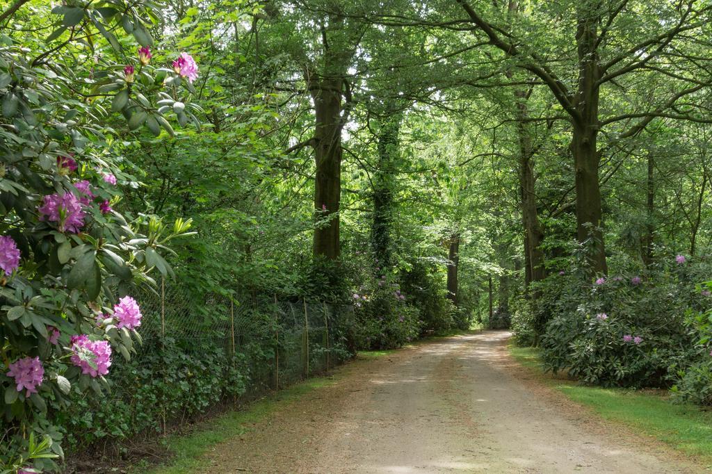 Bungalowpark Vogelenzang Villa Lage Mierde Eksteriør bilde